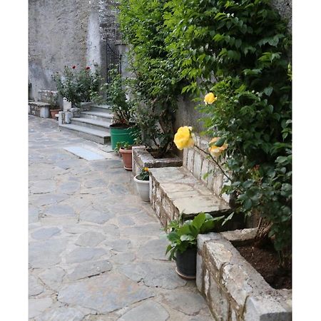 Maleatis Apollo Guesthouse Kosmás 외부 사진