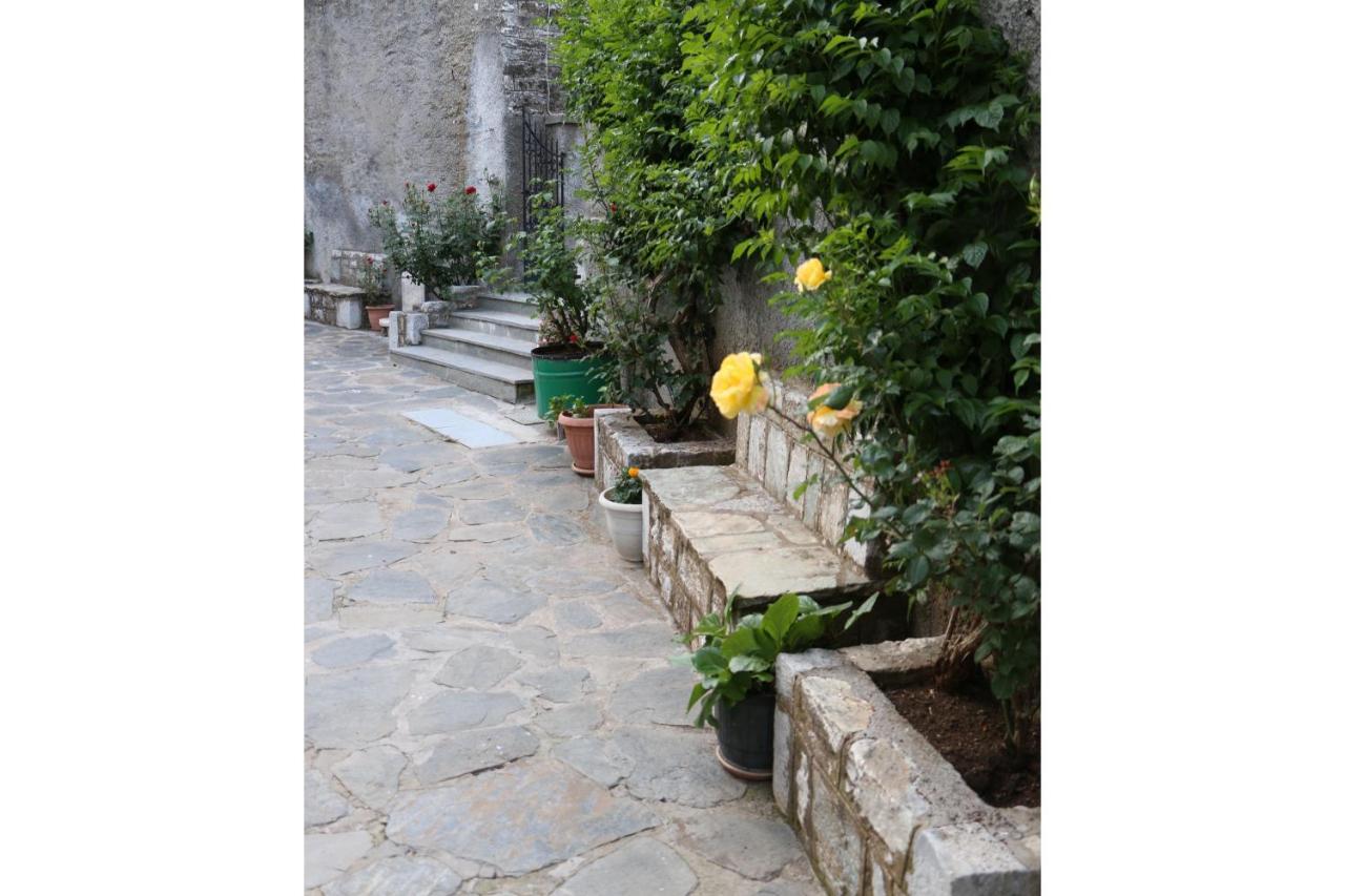 Maleatis Apollo Guesthouse Kosmás 외부 사진